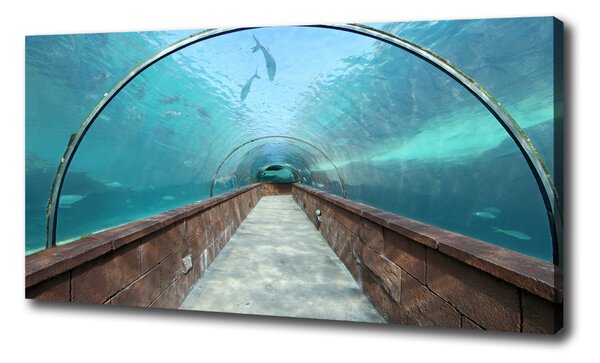 Print pe canvas Acvariul tunel