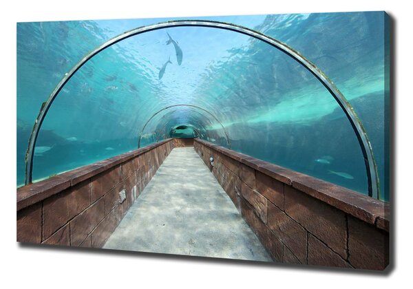 Print pe canvas Acvariul tunel