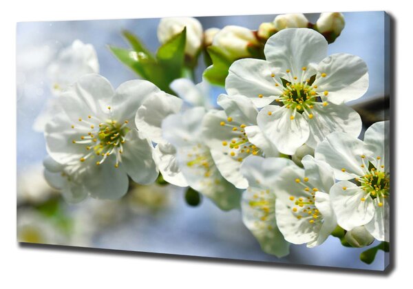 Pictură pe pânză floare de cires