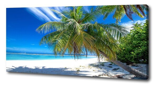 Tablou canvas plaja tropicala