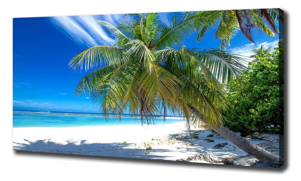 Tablou canvas plaja tropicala