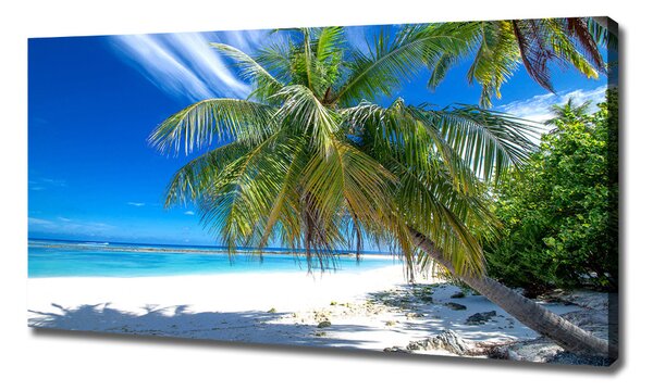 Tablou canvas plaja tropicala