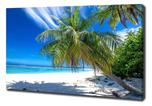 Tablou canvas plaja tropicala