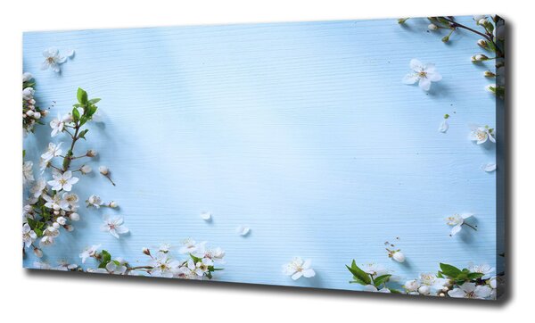 Tablou pe pânză canvas fundal Cherry flori