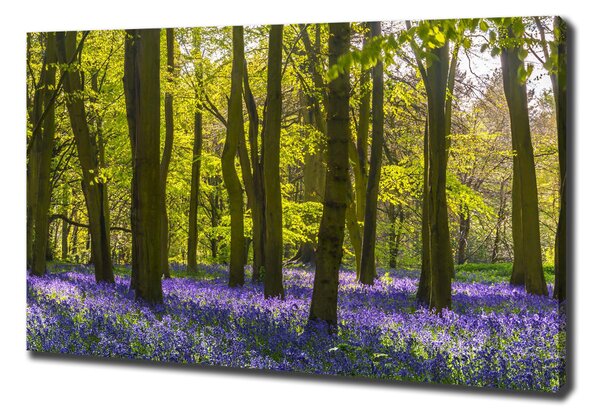 Tablouri tipărite pe pânză primăvară pădure