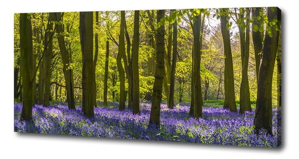 Tablouri tipărite pe pânză primăvară pădure