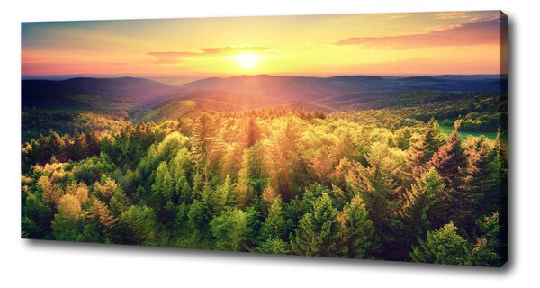 Print pe pânză apus de soare Forest