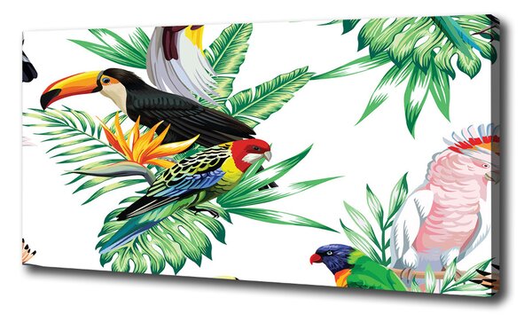 Tablou pe pânză păsări tropicale
