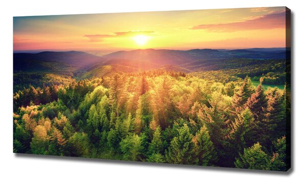 Print pe pânză apus de soare Forest