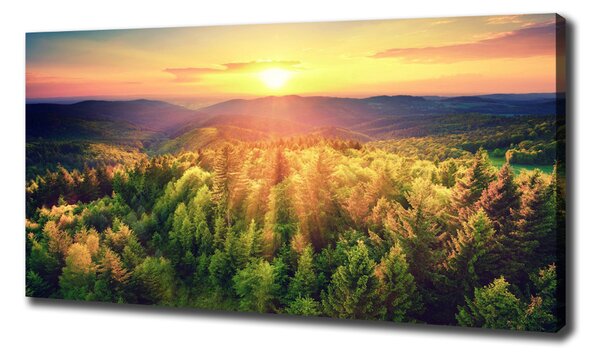 Print pe pânză apus de soare Forest