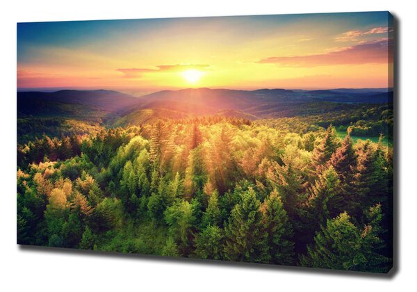 Print pe pânză apus de soare Forest