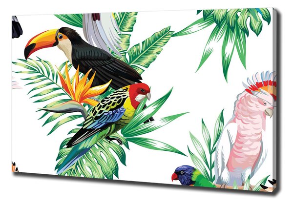 Tablou pe pânză păsări tropicale