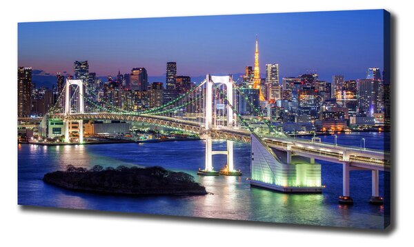 Tablou pe pânză Podul din Tokyo