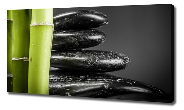 Print pe canvas Bambus