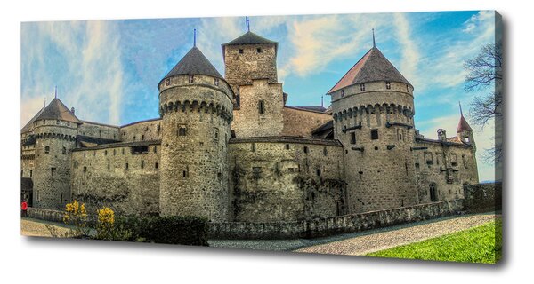 Tablou pe pânză canvas Castelul din Elveția
