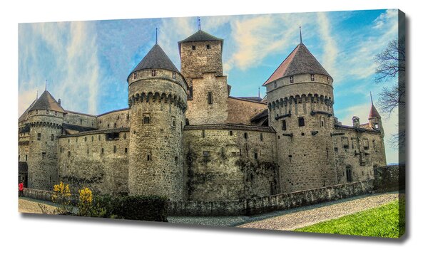 Tablou pe pânză canvas Castelul din Elveția