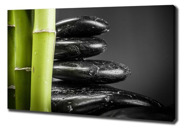 Print pe canvas Bambus