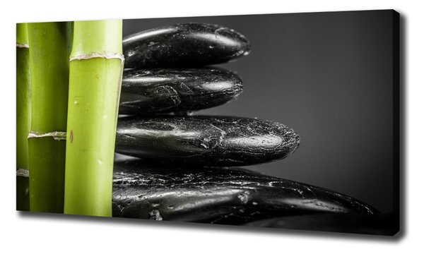 Print pe canvas Bambus