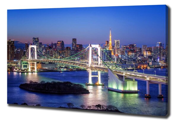 Tablou pe pânză Podul din Tokyo