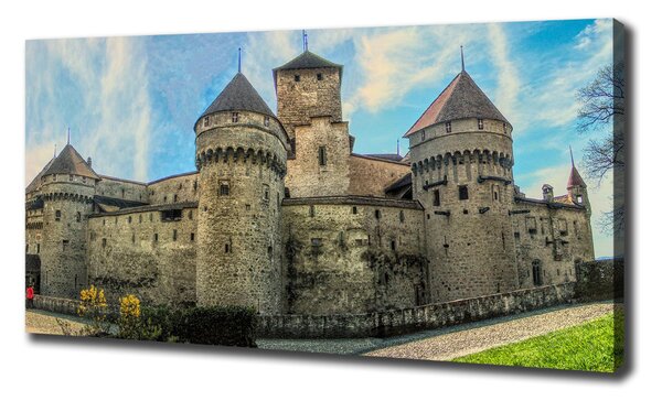 Tablou pe pânză canvas Castelul din Elveția