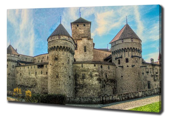 Tablou pe pânză canvas Castelul din Elveția