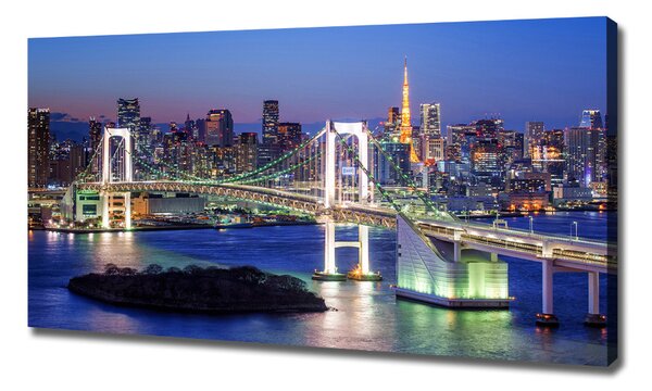 Tablou pe pânză Podul din Tokyo