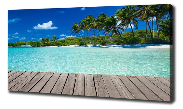 Tablouri tipărite pe pânză plaja tropicala