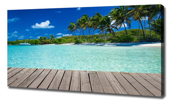 Tablouri tipărite pe pânză plaja tropicala