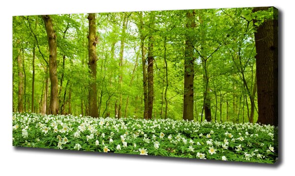 Tablou canvas Flori în pădure