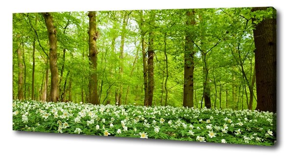Tablou canvas Flori în pădure