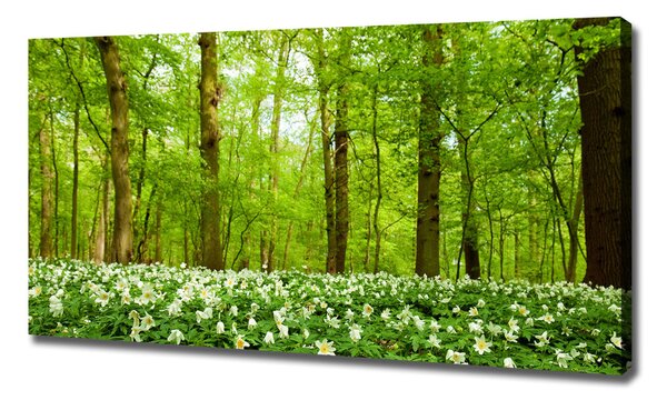 Tablou canvas Flori în pădure