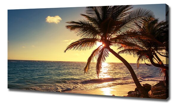 Print pe canvas plaja tropicala