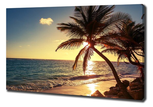 Print pe canvas plaja tropicala