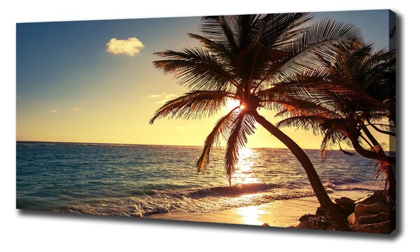 Print pe canvas plaja tropicala