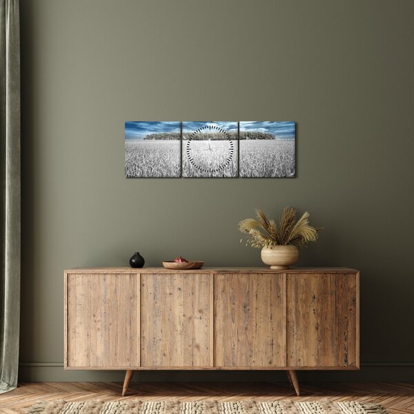 Tablou cu câmp (cu ceas) (90x30 cm)