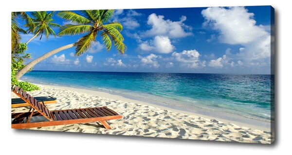 Tablouri tipărite pe pânză plaja tropicala