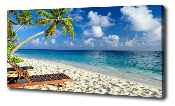 Tablouri tipărite pe pânză plaja tropicala