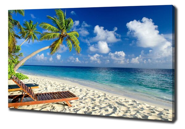 Tablouri tipărite pe pânză plaja tropicala