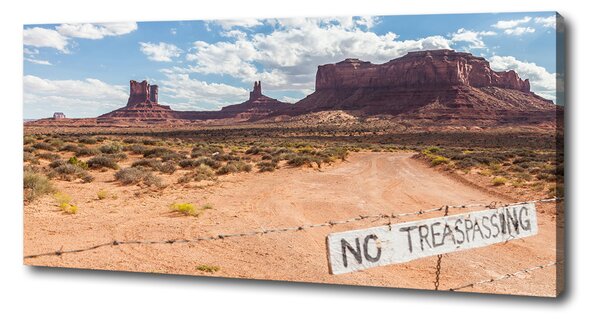 Tablouri tipărite pe pânză Arizona Statele Unite ale Americii