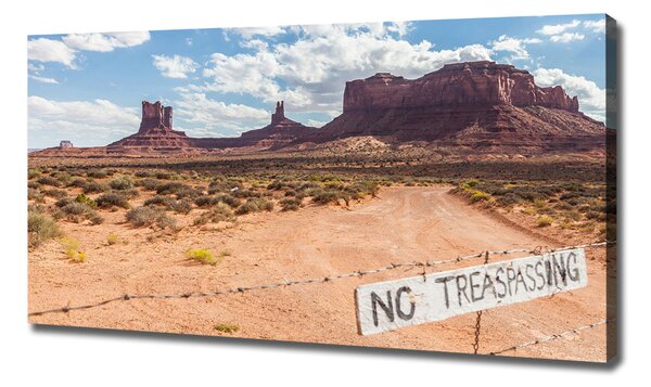 Tablouri tipărite pe pânză Arizona Statele Unite ale Americii
