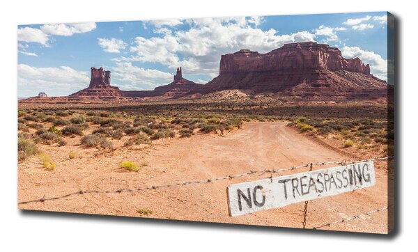 Tablouri tipărite pe pânză Arizona Statele Unite ale Americii