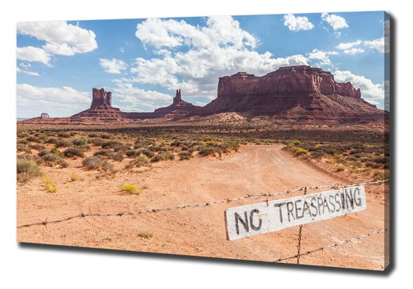 Tablouri tipărite pe pânză Arizona Statele Unite ale Americii