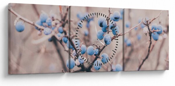Tablou cu fructe pe tufiș (cu ceas) (90x30 cm)