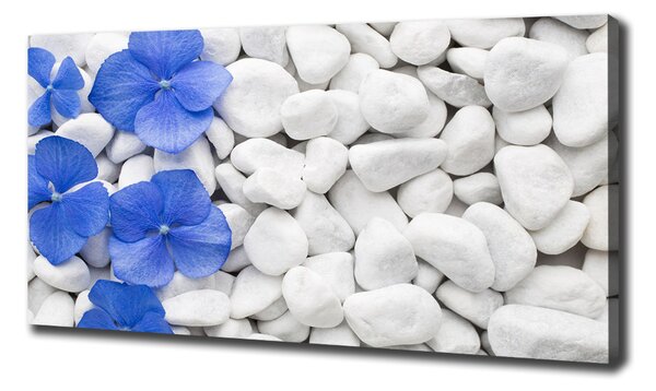 Imprimare tablou canvas Hortensie