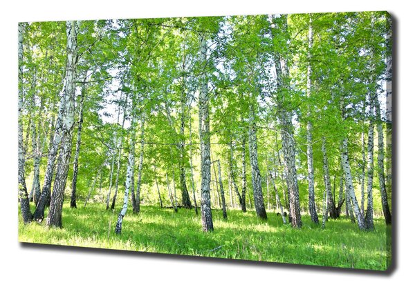 Imprimare tablou canvas mesteceni