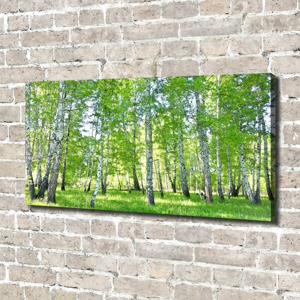 Imprimare tablou canvas mesteceni