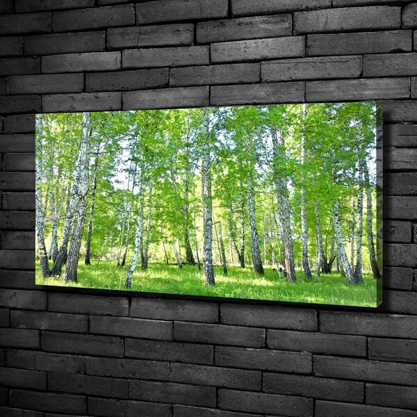 Imprimare tablou canvas mesteceni