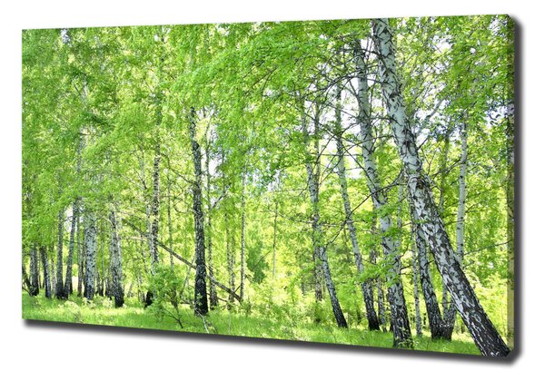 Imprimare tablou canvas pădurea de mesteacăn