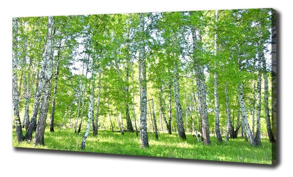 Imprimare tablou canvas mesteceni