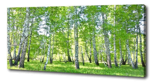 Imprimare tablou canvas mesteceni